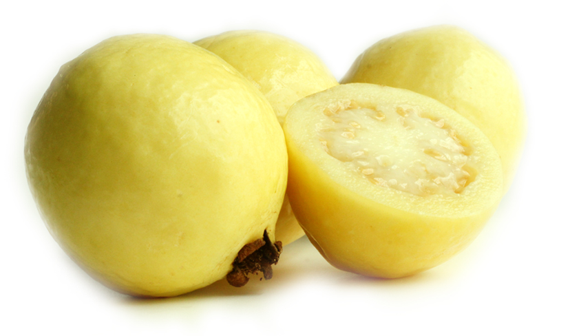White Guava Puree Concentrate - GAIA fruits